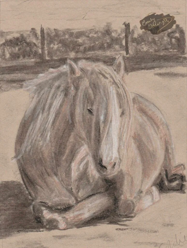 Charcoal, chalk and sienna drawing of a palomino horse sitting down with hedgerow in the background.