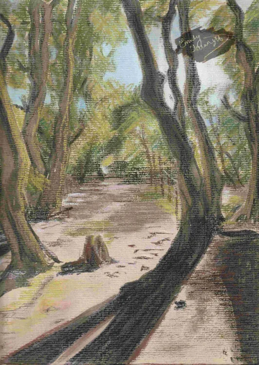 Pastel sketch of a path through tall trees in summer sunshine