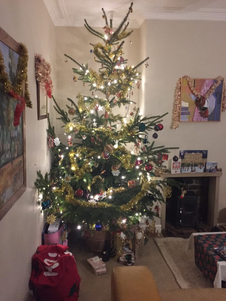 Christmas at Castle Sefton Press